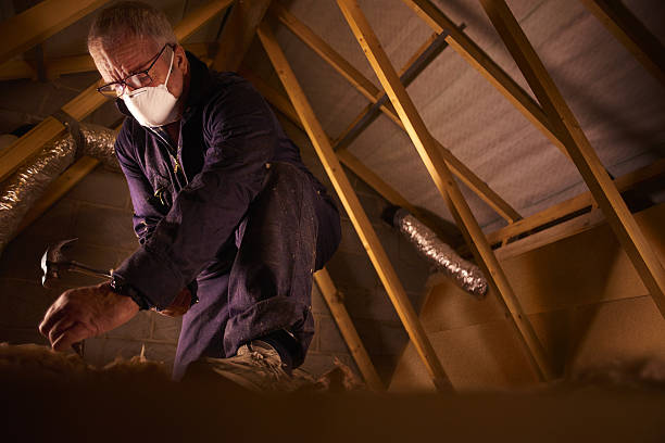 Insulation Repair Services in Cold Spring Harbor, NY