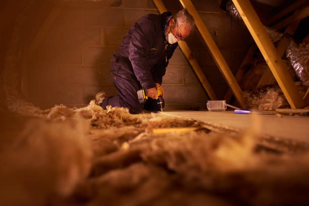 Best Local Insulation Services  in Cold Spring Harbor, NY